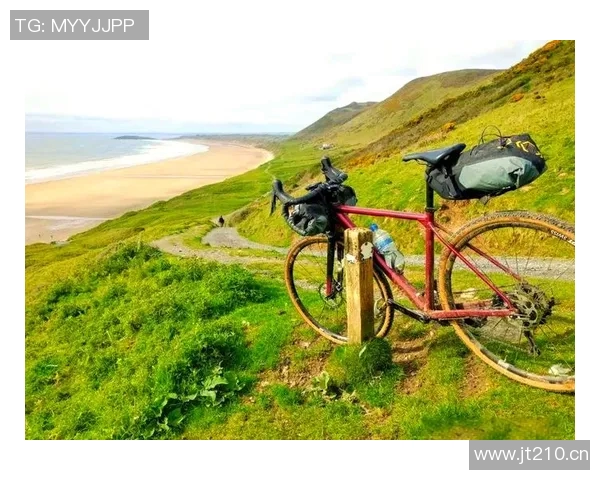 探索自行车的多样魅力:从骑行运动到环保出行的新趋势与未来发展 探索自行车的多样魅力:从骑行运动到环保出行的新趋势与未来发展