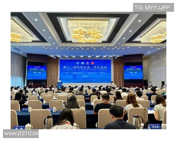 以法治为核心推动社会治理现代化建设的路径与挑战分析 以法治为核心推动社会治理现代化建设的路径与挑战分析